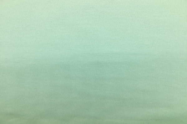 lillestoff Bio Stretchjersey mint