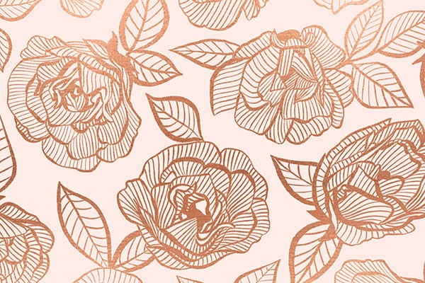 Ruby Star Society First Light Melody Miller Floral Lace Roses Ballet