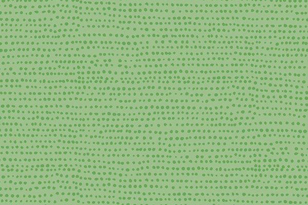 Dear Stella Moonscape - kiwi