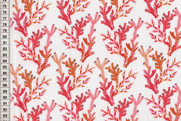 Sea Botanica by Sarah Gordon Coral white