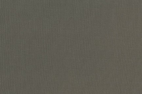 Kona Cotton Solids Robert Kaufman grizzly 1844
