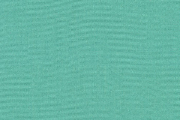 Kona Cotton Solids Robert Kaufman sage 1321