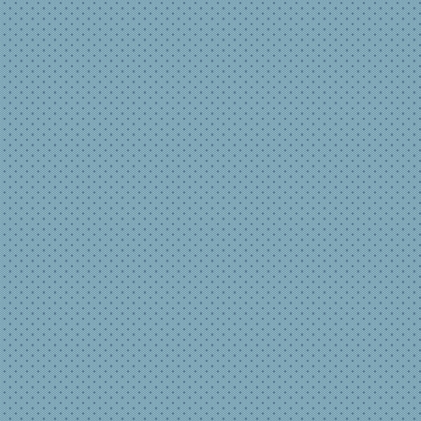 Sprinkles Denim B Edyta Sitar Laundry Basket Quilts