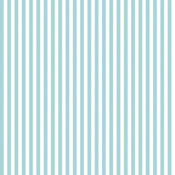RIley Blake Design Basic Stripes 1/4 inch aqua