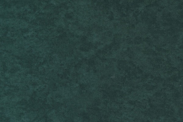 Warm Winter Wishes by Holly Taylor Marble Spruce Green