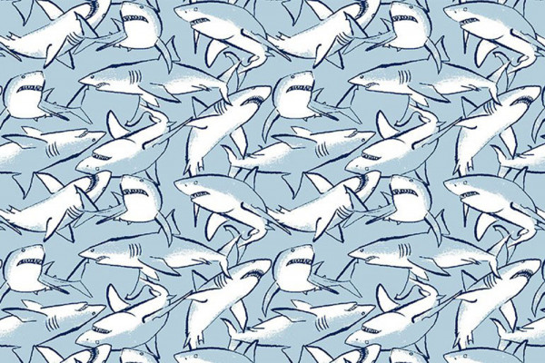 Bootylicious Dear Stella Shark Infested Water starlight