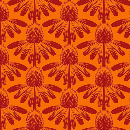 Anna Maria Parry Indelible Coneflower tangerine