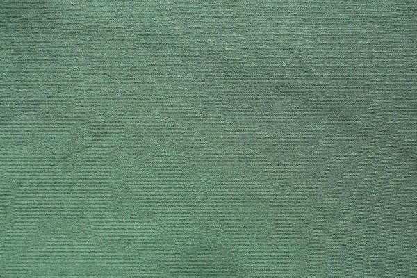 C-Pauli Bio Sweat Uni greener pasturs
