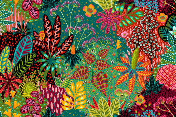 Tropicalism by Odile Bailloeul Amazonia