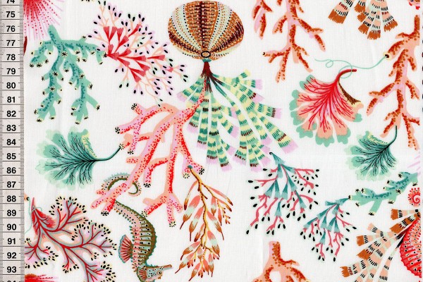 Sea Botanica by Sarah Gordon Sealife white