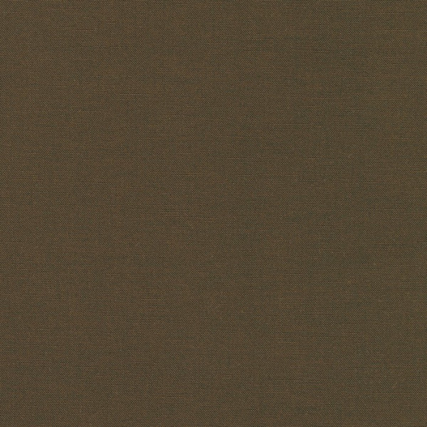 Kona Cotton Solids Robert Kaufman otter - 1851
