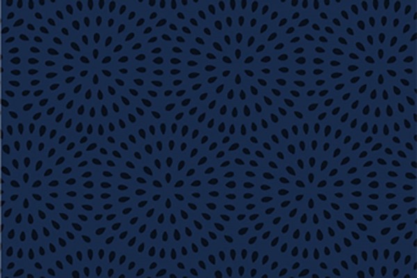 Kingyo by Lemonni Fireworks Denim
