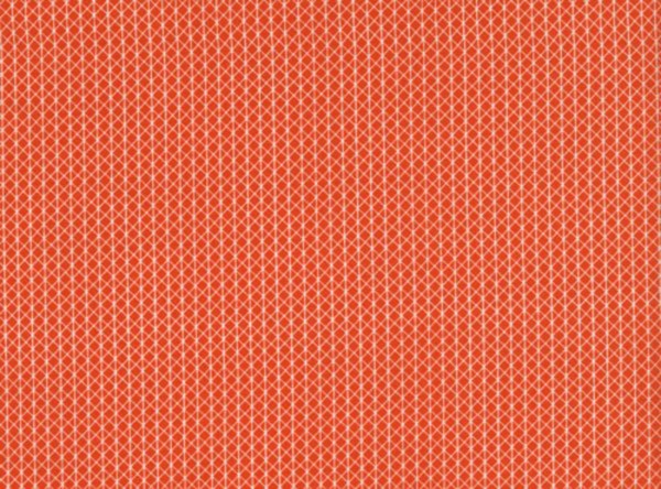 Alexia Abegg Netorius Basics orange