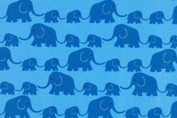 Junge Linie kbA Elefantenparade blau