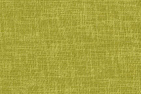 Quilters Linen kiwi