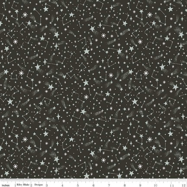 RIley Blake Design TWAS Jill Howarth Fallen Snow Charcoal Sparkle