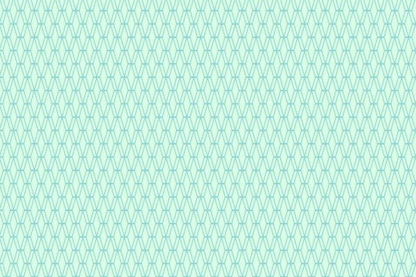 Basics -Mishmesh Ice Box