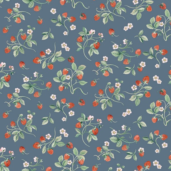 Robin by Clare Therese Gray Strawberries denim