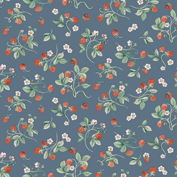 Robin by Clare Therese Gray Strawberries denim