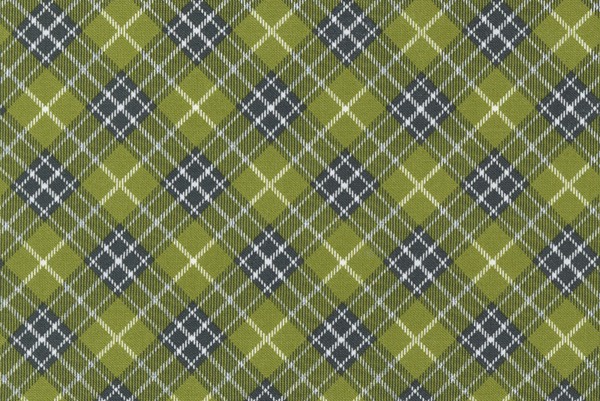Red Barn Christmas by Sweetwater Design Grass Plaid