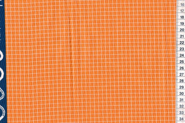 Ruby Star Society Grid caramel by Kimberly Kight