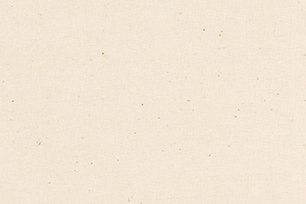 Kona Cotton Solids Robert Kaufman natural 1242