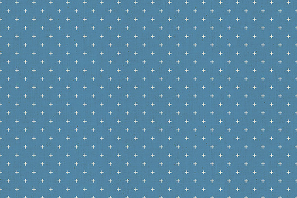 Ruby Star Society Add it up by Alexia Marcelle Abegg chambray