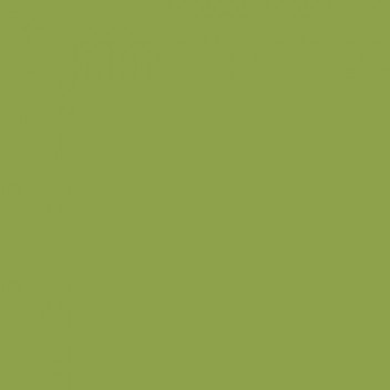Tula Pink Solids Dragon's Breath Matcha