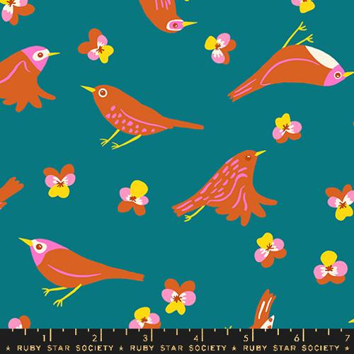 Ruby Star Society Kimberly Kight Bird is the Word Migration Storytime