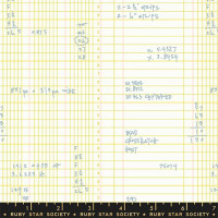 Carolyn Friedlander Memento Ledger Citron