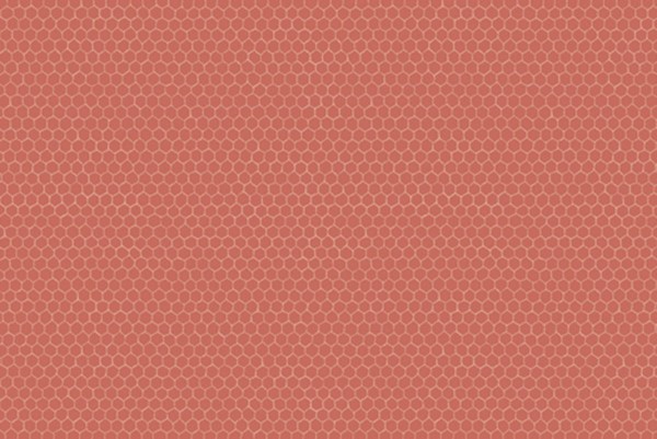 Windham Fabrics Nature Study Hexie Beetroot