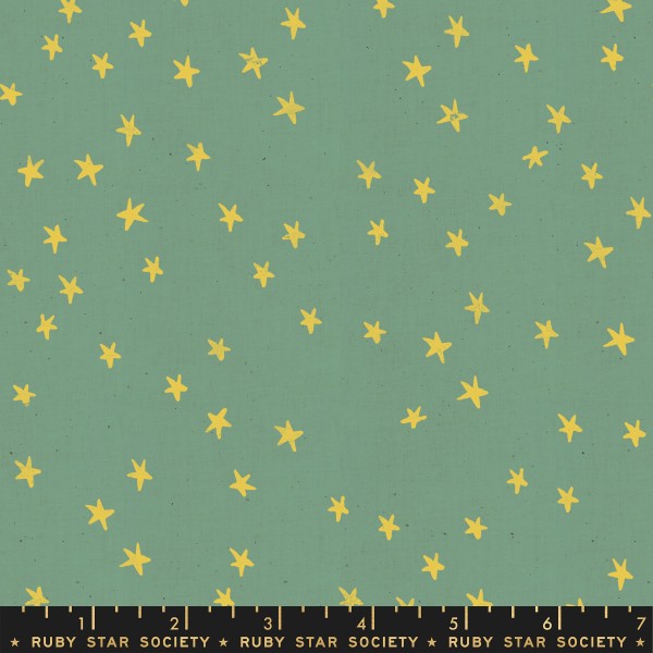 Ruby Star Society Starry by Alexia Marcelle Abegg - Soft Aqua