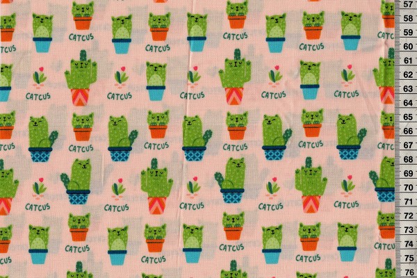 Camelot Cactus