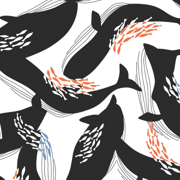Cloud9 CANVAS Ophelia Pang Happy Whales