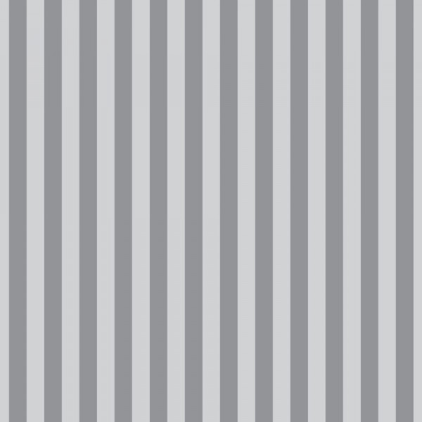 Pre-Order Tula Pink Graywork True Color Tent Stripe Fog