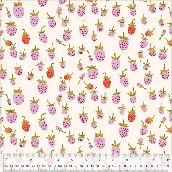 Heather Ross Studio Edit MINKY Strawberries