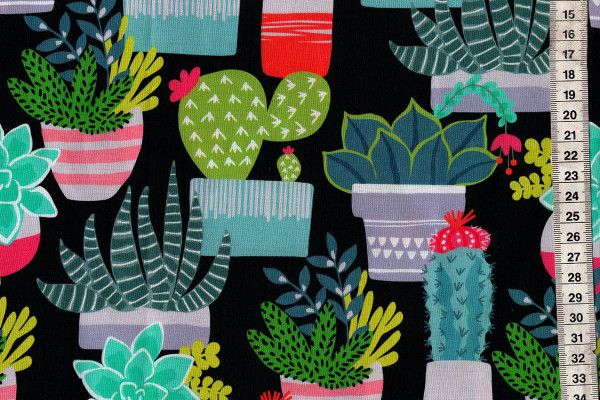 Desert Blooms Spiny Succulents dark grey by Maude Ashbury