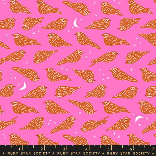 Ruby Star Society Kimberly Kight Bird is the Word Wippoorwill Lipstick