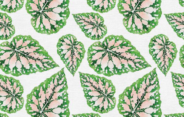 Modern Botanicals by Living Pattern