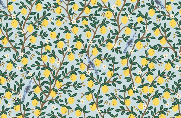 Camont by Rifle Paper Lemon Grove mint