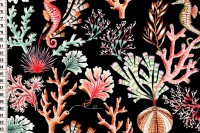 Sea Botanica by Sarah Gordon Sealife black