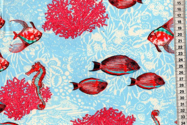 Jersey Fischschwarm