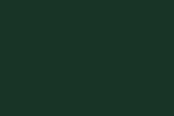 Sweat Gots uni bottle green