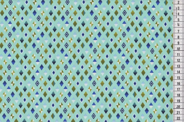 Tula Pink Slow & Steady Track Flags blue raspberry