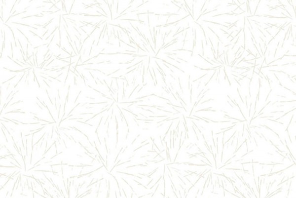 Victoria Findlay Wolfe Modern Shirtings Blast White