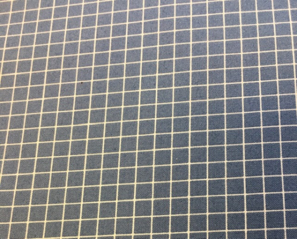 Reststück Ruby Star Society Kimberly Kight Grid denim