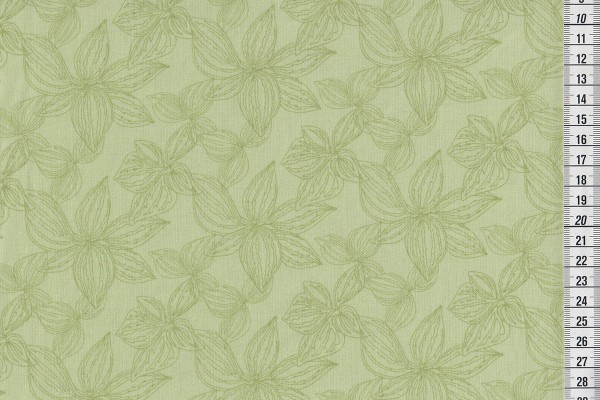 Kate Spain Aria Lily foliage