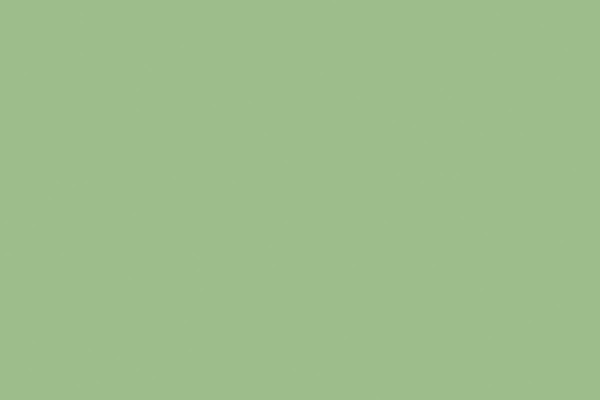 Tilda Solid Fern Green