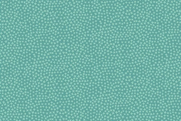 Jax Basic Sterne Stars parakeet