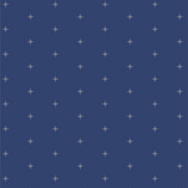 Art Gallery Maureen Cracknell Starling SHINING STARDUSK